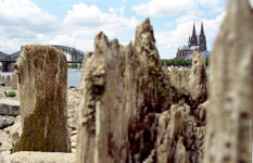 climate drought  rhine river Koeln