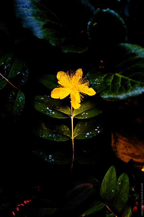 Stilleben - Die Entdeckung der Stille - Fotografien