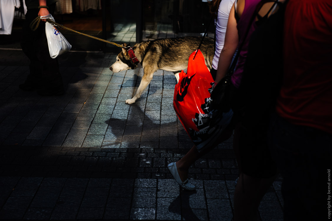 Köln Hohe Straße Fußgängerzone Hund