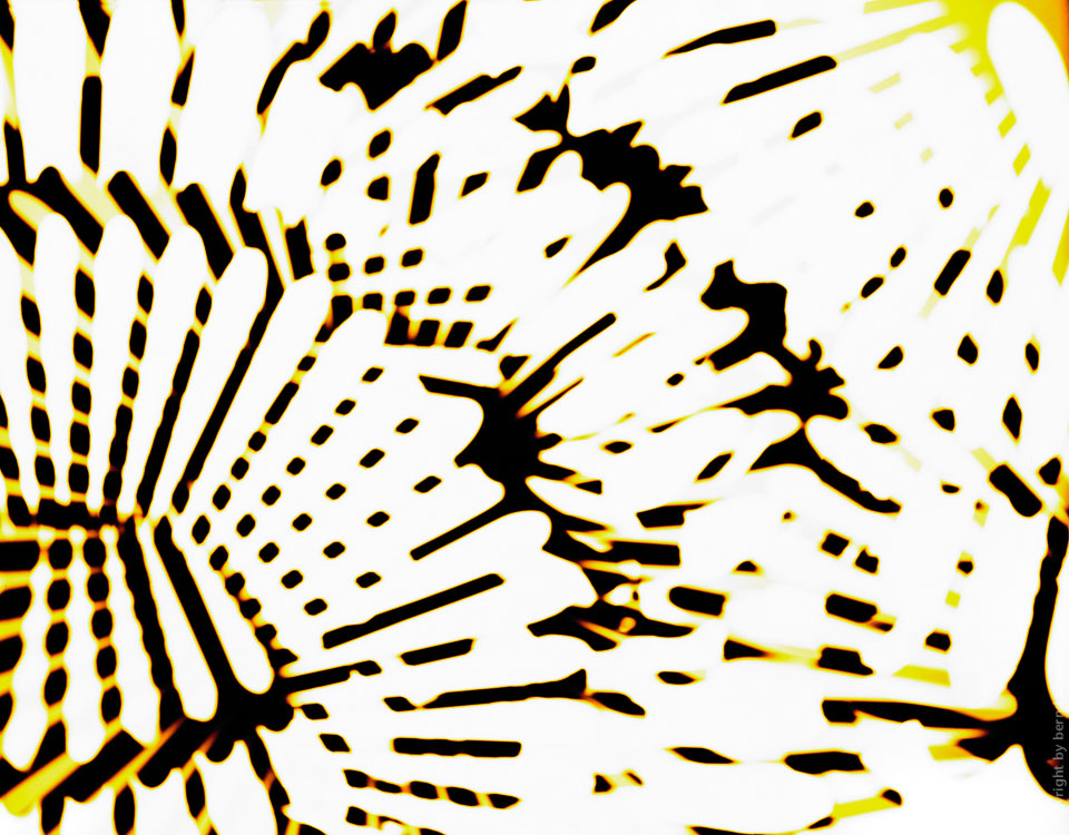 Digitalis Digigramm – Metamorphose eines Fotogramms – Räderwerk 