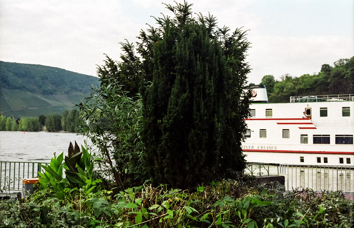 Rhine River in Boppard