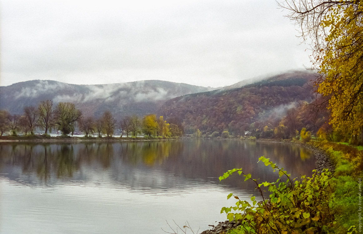 Rhein – Mittelrhein – Naturschutzgebiet an der Schottel