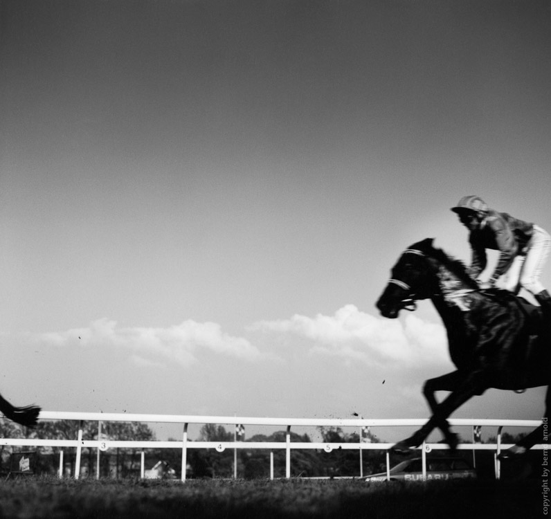 Pferderennen, Jockey, Pferd und Rennbahn