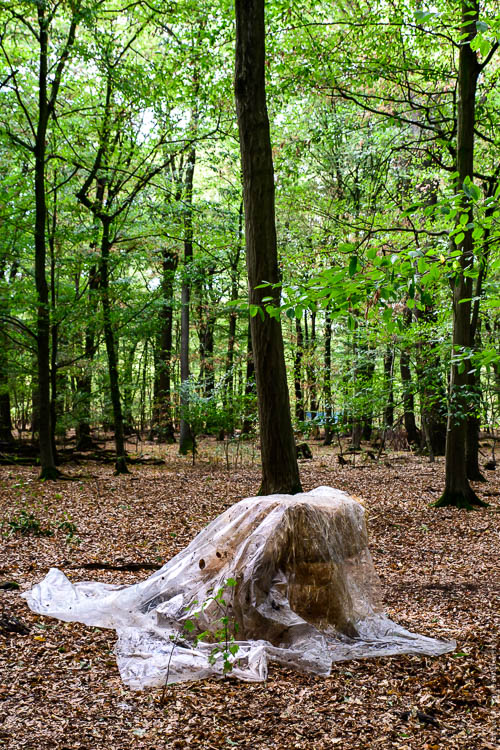 Stille Wald Hambacher Forst – Braunkohleabbau Garzweiler