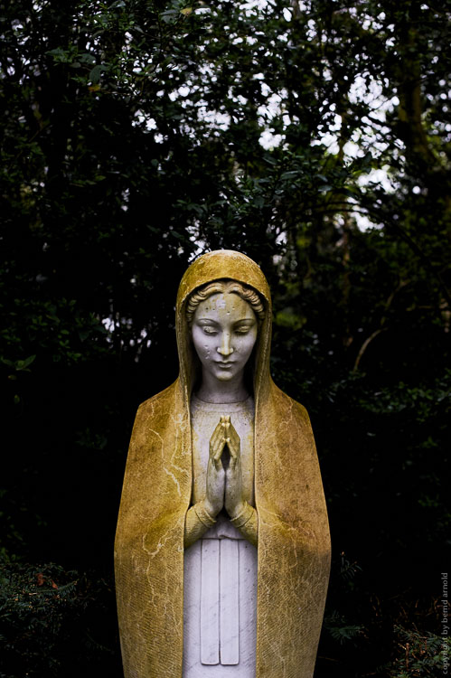 Gebet auf Melatenfriedhof in Köln