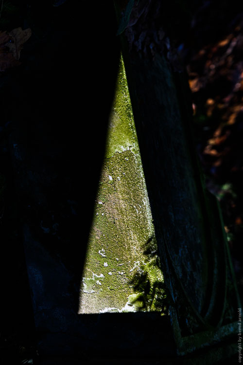 Licht und Schatten – Grabstätte auf Melatenfriedhof in Köln