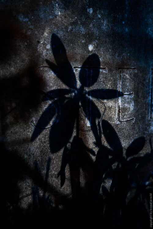 Schatten auf Grabstätte im Melatenfriedhof in Köln