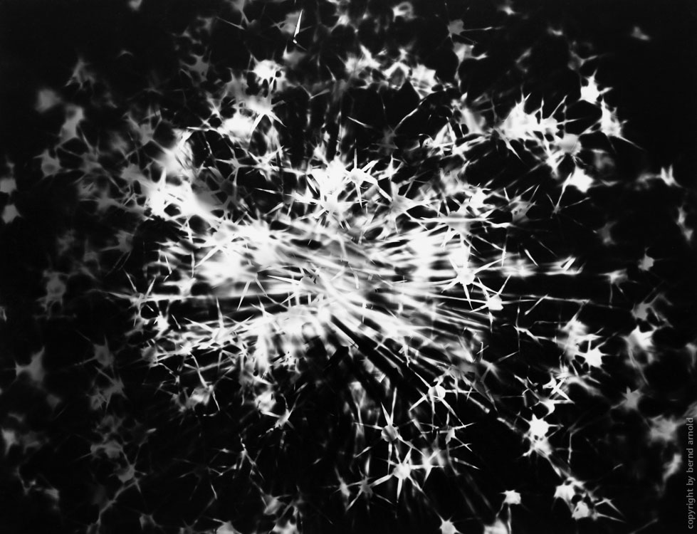 Digitalis Digigramm – Metamorphose eines Fotogramms – Explosion