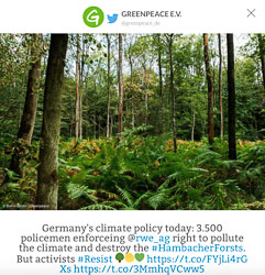 Pressemitteilung und Twitter Meldung von Greenpeace zum Hambacher Wald