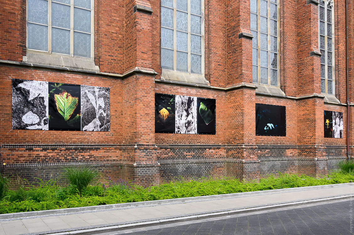 Ausstellung St. Peter Oldenburg 2022 – Die Entdeckung der Stille