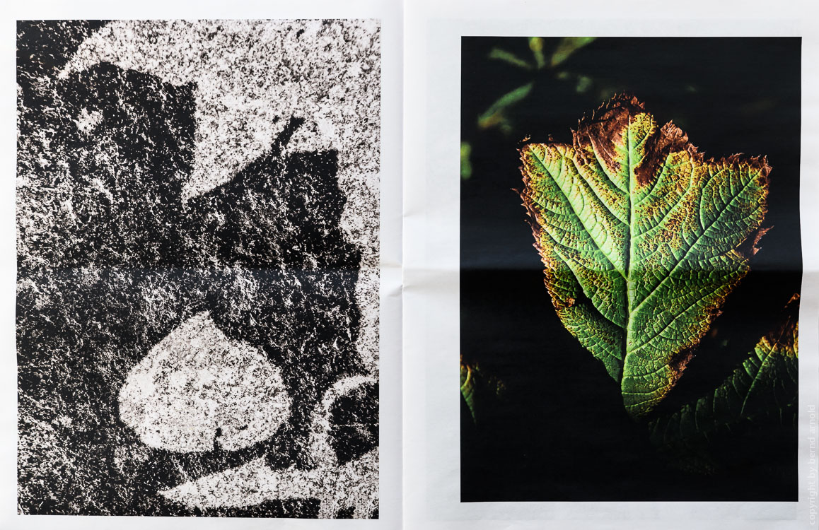 Zeitungsdruck als Edition Auflage 50, Die Entdeckung der Stille Schattenbild – Fotografien Die Entdeckung der Stille, Edition Zeitungsdruck, Bernd Arnold