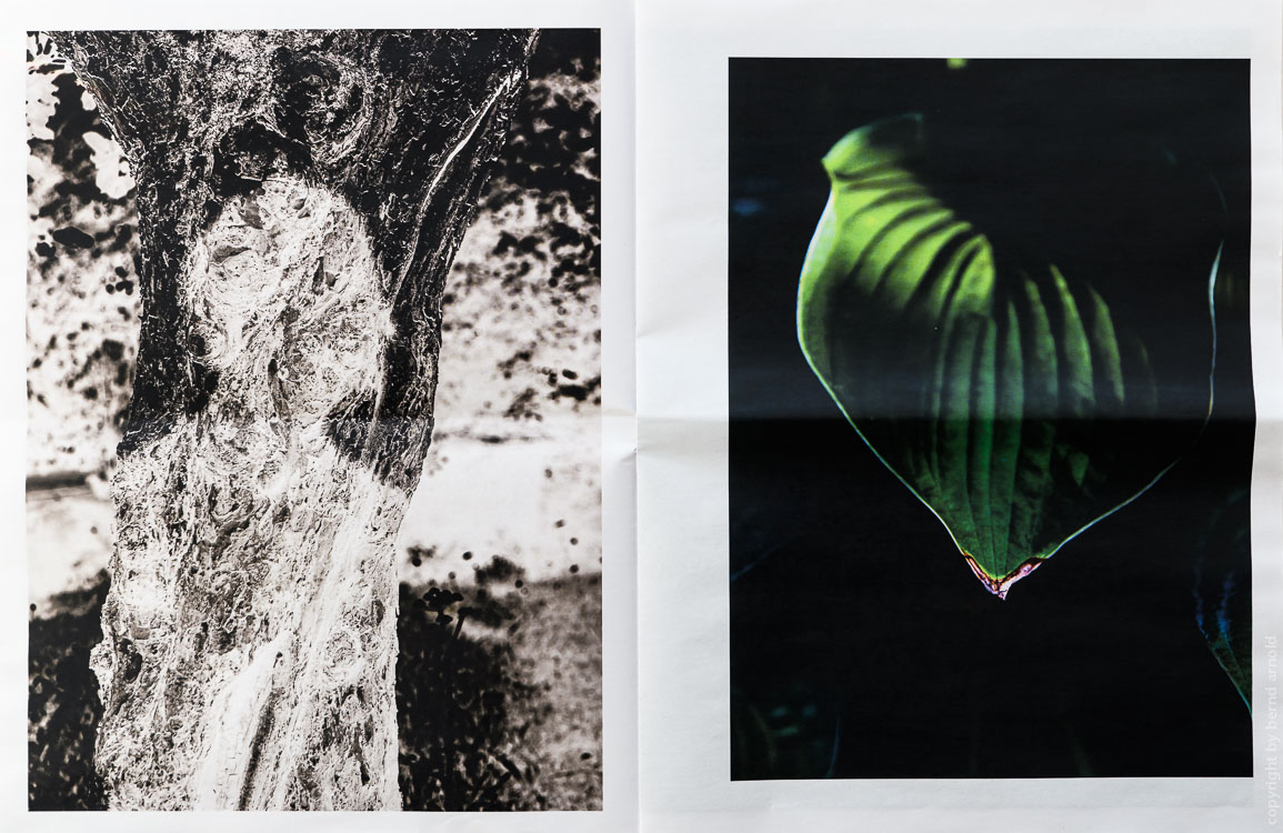 Zeitungsdruck als Edition Auflage 50, Die Entdeckung der Stille Selbstportrait – Fotografien Die Entdeckung der Stille, Edition Zeitungsdruck, Bernd Arnold