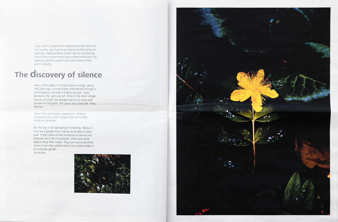 Zeitungsdruck als Edition Auflage 50, Die Entdeckung der Stille Johanniskraut (Hypericum) – Fotografien Die Entdeckung der Stille, Edition Zeitungsdruck, Bernd Arnold