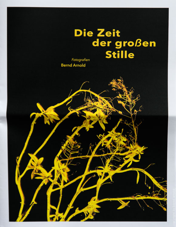 Zeitungscover - Metaphorische Einblicke in die aktuelle Krise, 2020 Zeitungscover - Die Zeit der großen Stille - Ausgabe #2