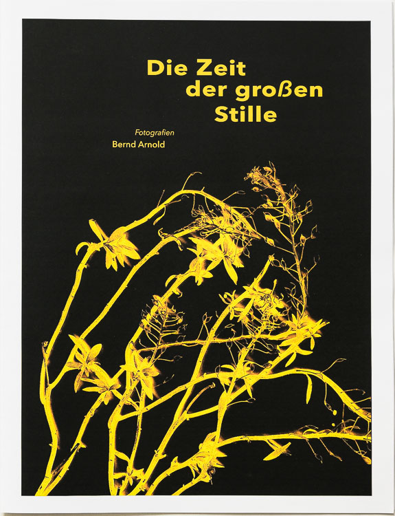 Zeitungscover, ungefaltet, stärkeres Papier – Die Zeit der großen Stille – Ausgabe #2