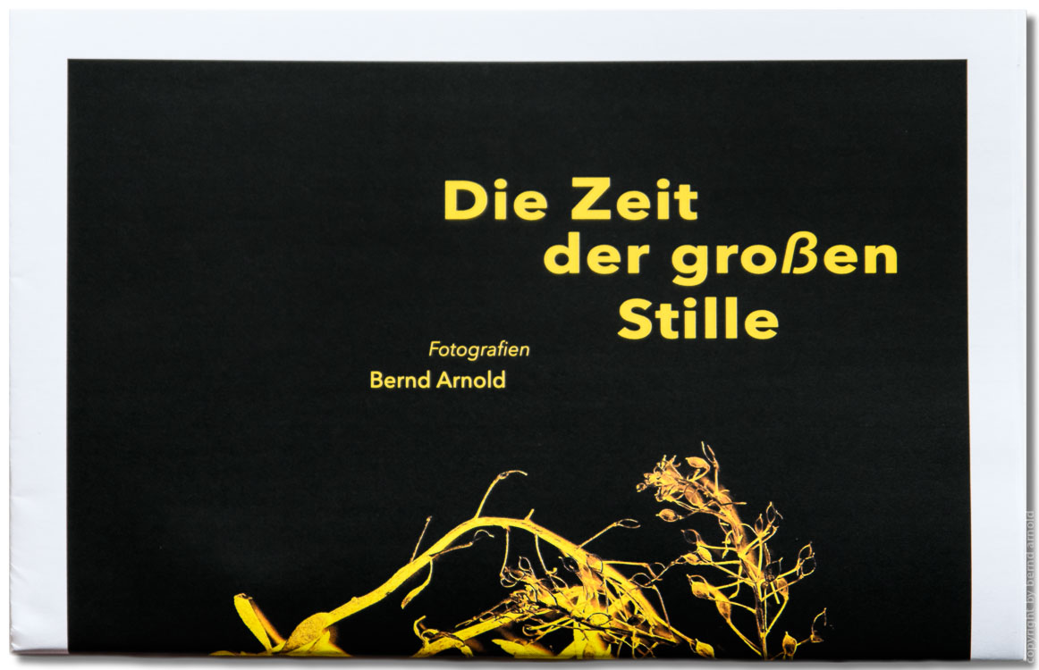 Zeitung – Metaphorische Einblicke in die Corona-Krise 2020